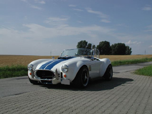 Weineck Cobra