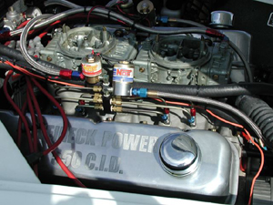 Motor del Weineck Cobra