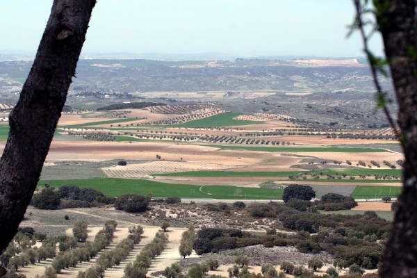 Finca El Montecillo